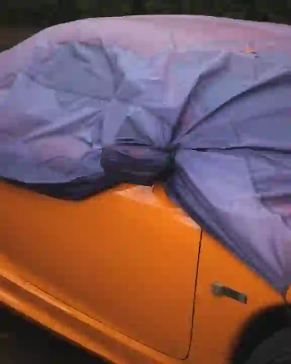 Universal Car Cover